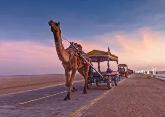 White Rann Tent City Photo 2